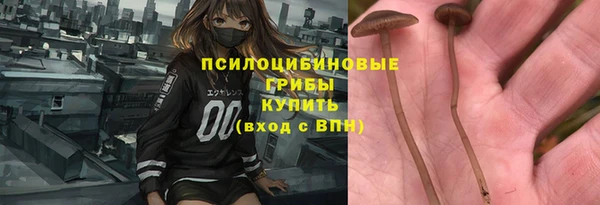 а пвп мука Осинники