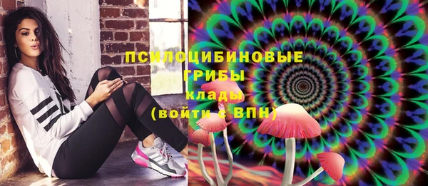 а пвп мука Осинники